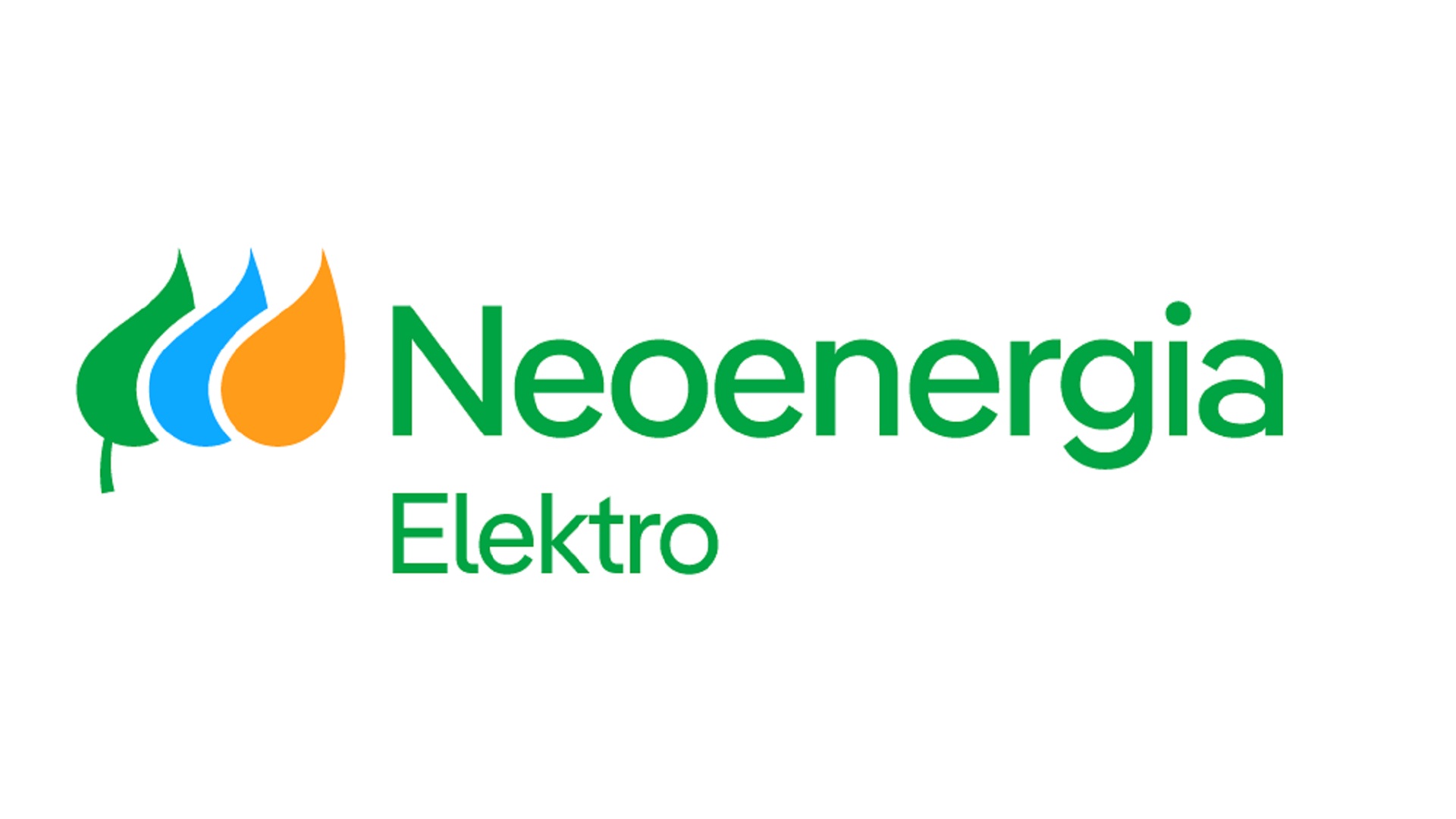ELEKTRO ELETRICIDADE E SERVICOS S/A